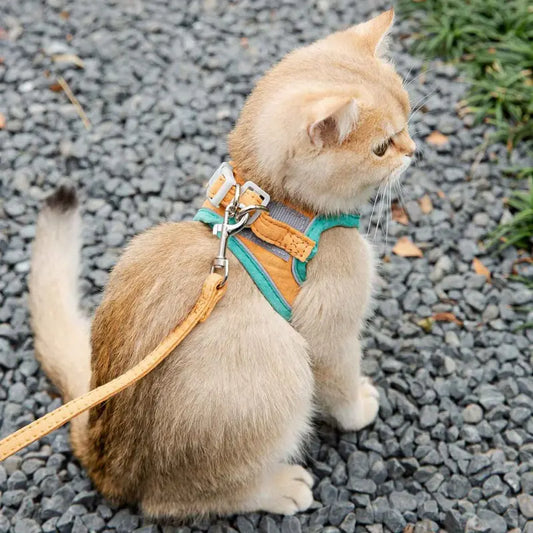 Purrfect Explorer - Cat Vest Harness and Leash Set