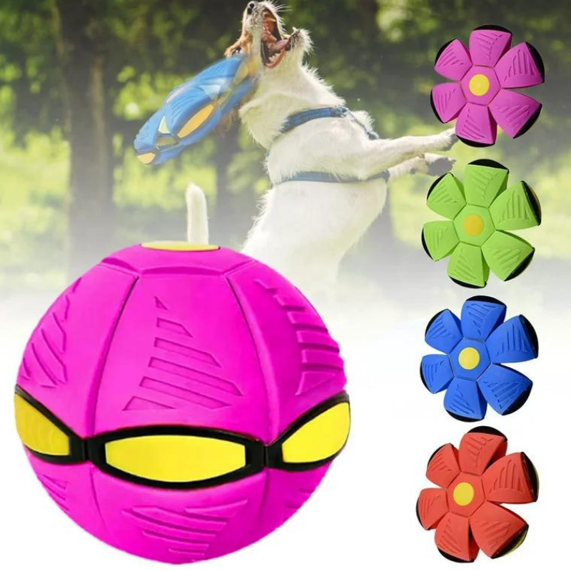 Doggy Disc Ball